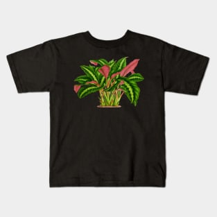 Calathea Warscewiczii botanical illustration Kids T-Shirt